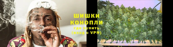 прущие грибы Абдулино