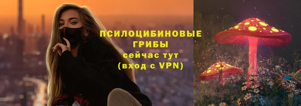 твердый Алзамай