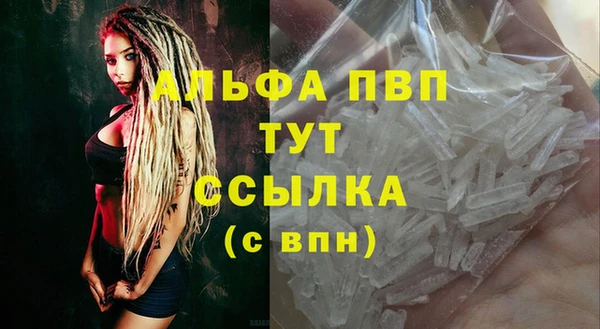 прущие грибы Абдулино