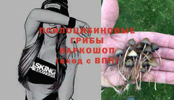 дурь Абаза